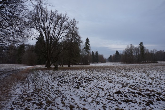 DSC00207