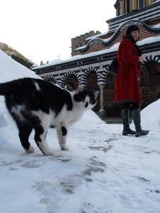 419543_403844406307732_2008206375_n