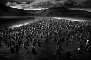 Tomasz-Gudzowaty z PGS Sopot