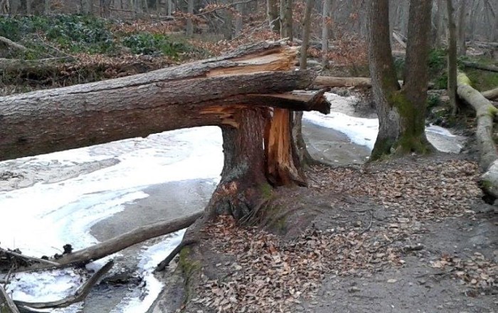 12459961_1313899555302208_193386504_n