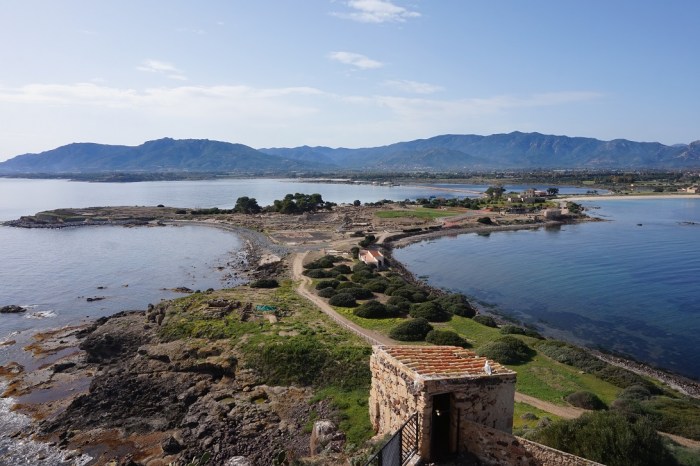 widok na Norę z tarasu wieży