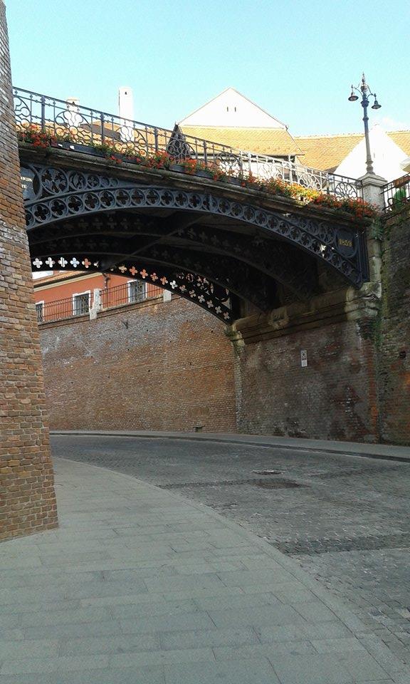 13664546_1473284056030423_957524367_n