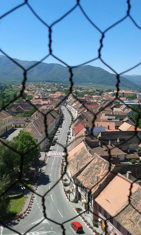 13706224_1480502735308555_2018327857_n