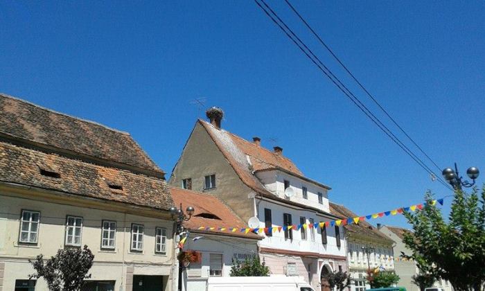 13713508_1480502708641891_1003196994_n