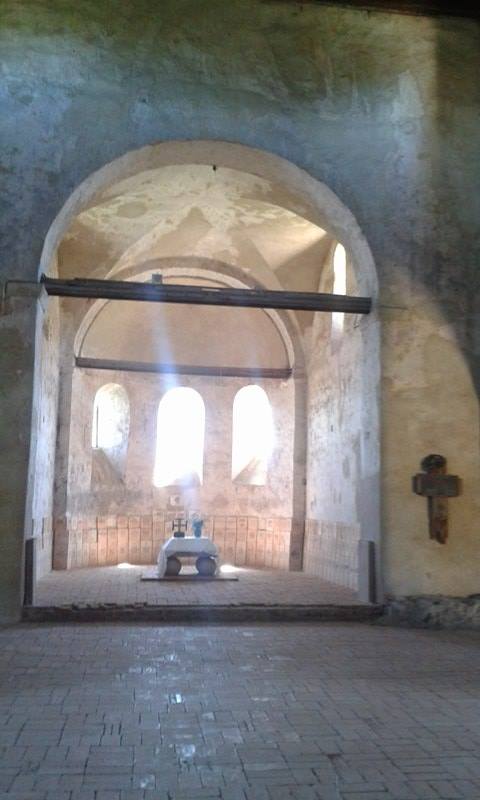 13735384_1480505518641610_1710396313_n