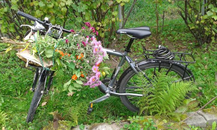 w koszyczku są; orzechy włoskie sztuk 9, jabłka i pigwy w dużych ilościach :-) no i bukiet jak widać